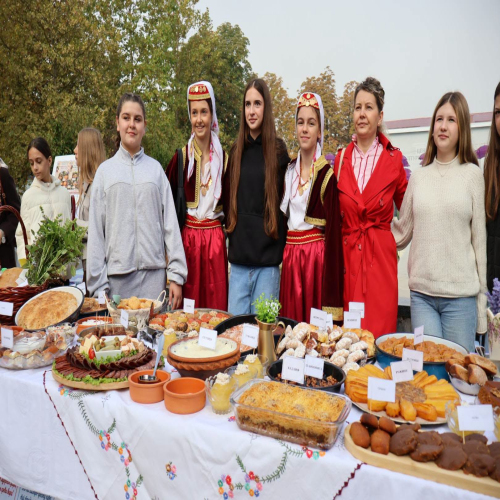 skolski-gastrofest-Doboj 02